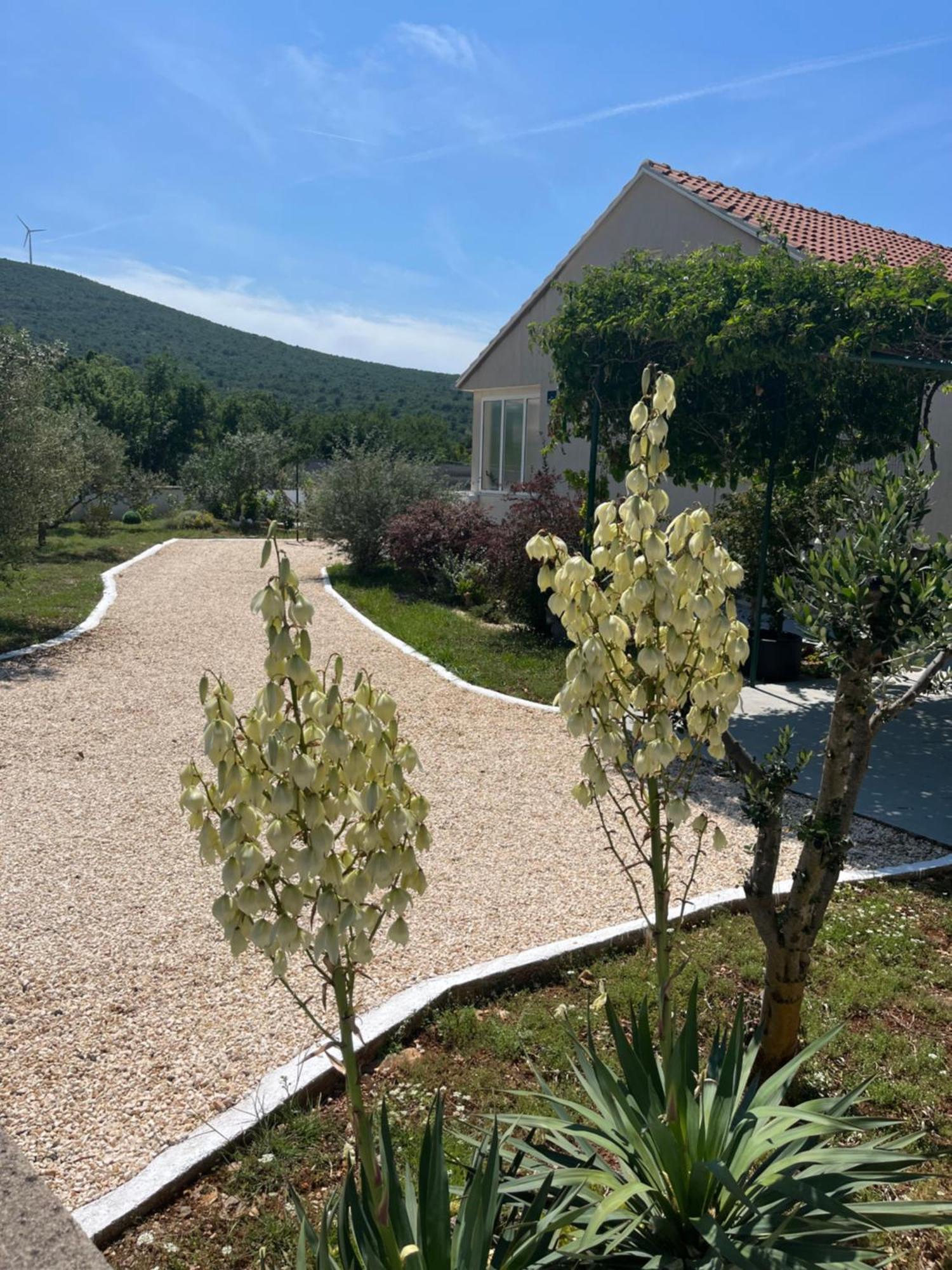 Case de vacanță Mediterranean Olive Waterfallskrka-croatia Gulin